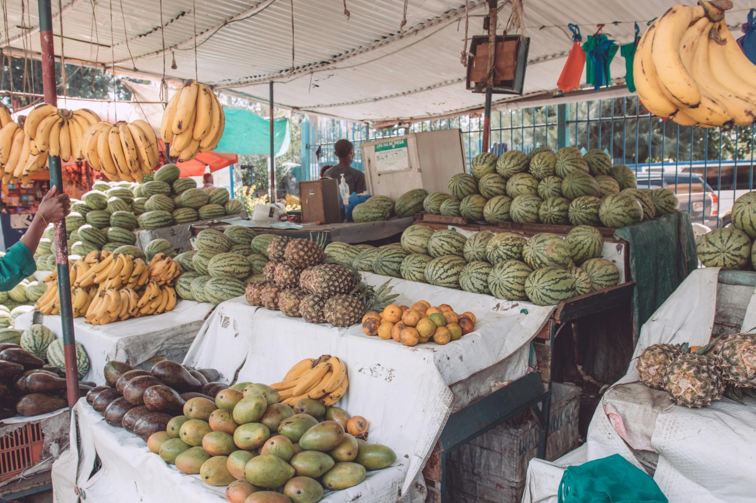 The Vital Role of Farmers in Building a Country’s Economy